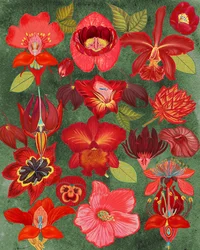 Kollektionen »Exotic Red Floral«