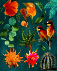 Tropiske fugle og blomster