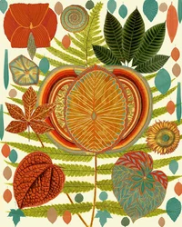 Livfulde botaniske former