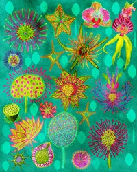 Den livlige botaniske have